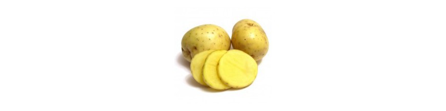 Patatas y cebollas
