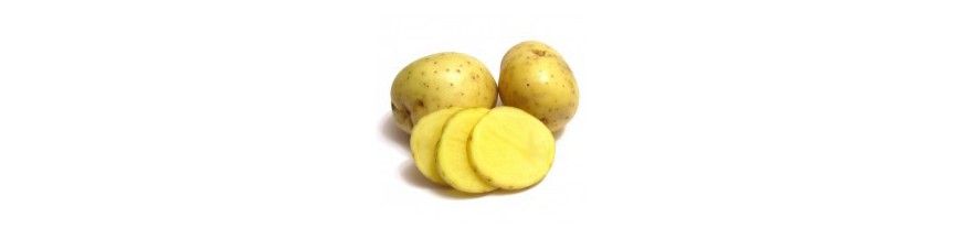 Patatas y cebollas