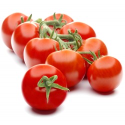 Tomate Cherry Rama Granel
