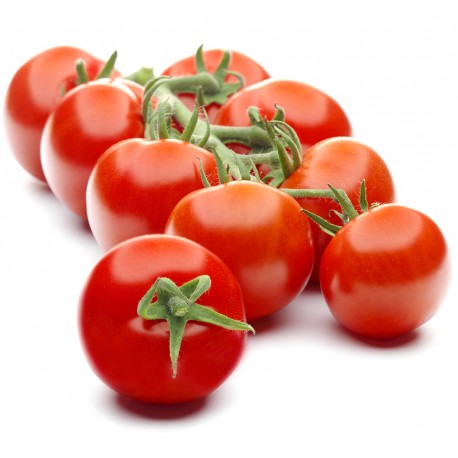 Tomate Cherry Rama Granel