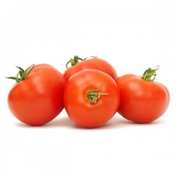 Tomate GG Ibicenco
