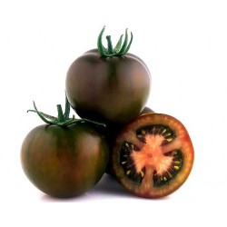 Tomate Kumato