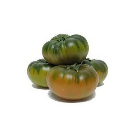 Tomate Raft