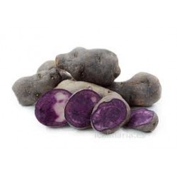 Patata Violeta 