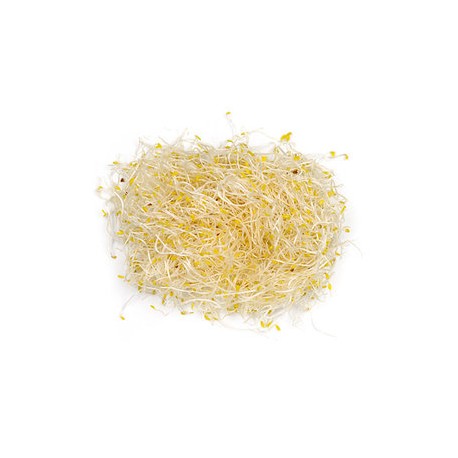 Germinado de Alfalfa Bolsa Germinado de Alfalfa Bolsa