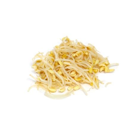 Germinado de Soja Bolsa