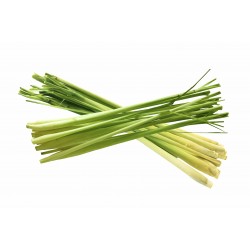 Citronella