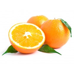 Naranja Navel Valenciana de Mesa