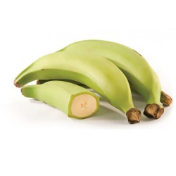 Plátano Macho