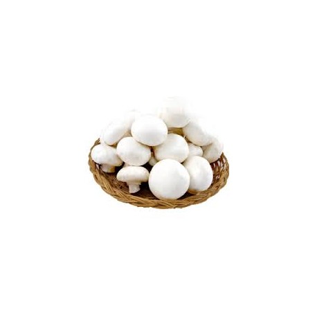 Champiñón Granel Pie Cortado Champiñón Granel Pie Cortado