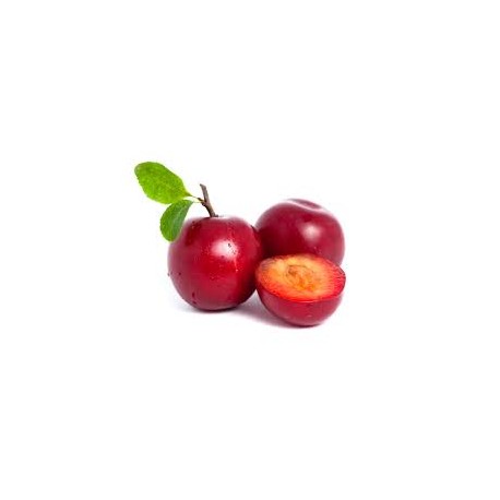 Ciruela Roja Ciruela Roja