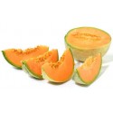 Melón Cantalup