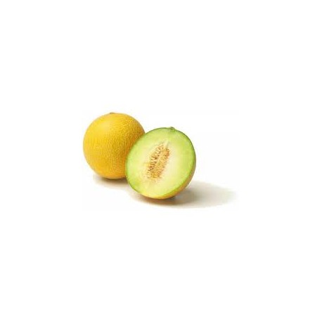 Melón Galia Melón Galia