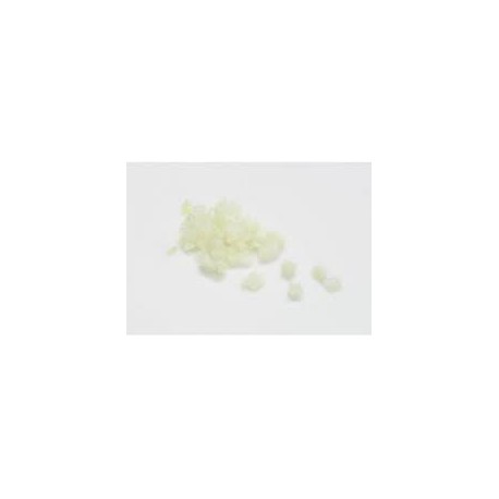 Cebolla Blanca Brunua Cebolla Blanca Brunua