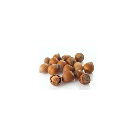 Avellana Cascara Bandeja