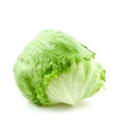 Lechuga iceberg 