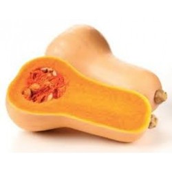 Calabaza Cacahuete