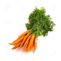 Zanahoria Manojo 8-10 unidades